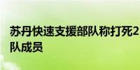 苏丹快速支援部队称打死250多名苏丹武装部队成员