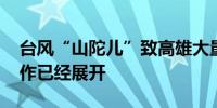 台风“山陀儿”致高雄大量树木倒伏 清理工作已经展开