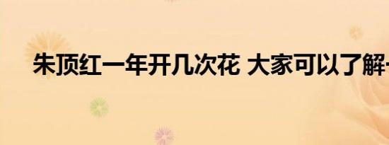 朱顶红一年开几次花 大家可以了解一下