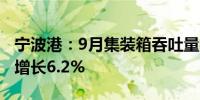 宁波港：9月集装箱吞吐量409万标准箱 同比增长6.2%