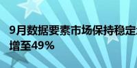 9月数据要素市场保持稳定增长 数据集类产品增至49%