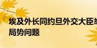 埃及外长同约旦外交大臣举行会谈 讨论中东局势问题