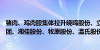 猪肉、鸡肉股集体拉升晓鸣股份、立华股份涨超12%神农集团、湘佳股份、牧原股份、温氏股份等涨逾6%