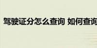 驾驶证分怎么查询 如何查询驾驶证扣分情况