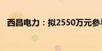 西昌电力：拟2550万元参与设立合资公司