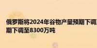 俄罗斯将2024年谷物产量预期下调至1.3亿吨将小麦产量预期下调至8300万吨