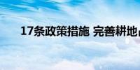 17条政策措施 完善耕地占补平衡管理