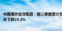 中国海外宏洋集团：前三季度累计合约销售额264.06亿元按年下跌23.3%