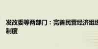 发改委等两部门：完善民营经济组织创新成果知识产权保护制度