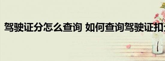 驾驶证分怎么查询 如何查询驾驶证扣分情况