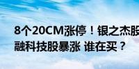 8个20CM涨停！银之杰股价11天翻两番 金融科技股暴涨 谁在买？