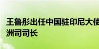 王鲁彤出任中国驻印尼大使此前担任外交部欧洲司司长