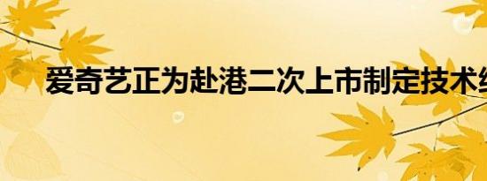 爱奇艺正为赴港二次上市制定技术细节