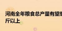 河南全年粮食总产量有望继续稳定在1300亿斤以上