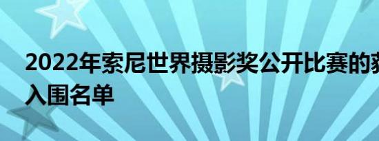 2022年索尼世界摄影奖公开比赛的获奖者和入围名单