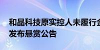 和晶科技原实控人未履行金额超千万元 法院发布悬赏公告