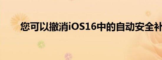 您可以撤消iOS16中的自动安全补丁