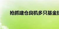 抢抓建仓良机多只基金提前结束募集