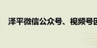 泽平微信公众号、视频号因违规无法关注