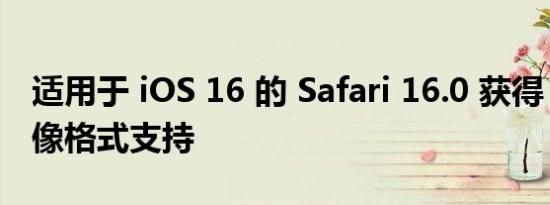 适用于 iOS 16 的 Safari 16.0 获得 AVIF 图像格式支持