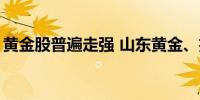 黄金股普遍走强 山东黄金、招金矿业涨近5%