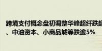 跨境支付概念盘初调整华峰超纤跌超10%京北方、四方精创、中油资本、小商品城等跌逾5%