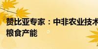 赞比亚专家：中非农业技术合作助力非洲提高粮食产能