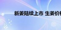 新姜陆续上市 生姜价格高位回落