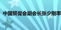 中国贸促会副会长张少刚率团访问格鲁吉亚