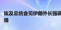 埃及总统会见伊朗外长强调须停止地区局势升级