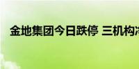 金地集团今日跌停 三机构净买入1.56亿元