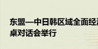 东盟—中日韩区域全面经济伙伴关系协定圆桌对话会举行