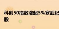 科创50指数涨超5%寒武纪大涨16%领涨成分股