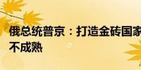 俄总统普京：打造金砖国家统一货币的时机仍不成熟