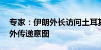 专家：伊朗外长访问土耳其 借助土方优势向外传递意图