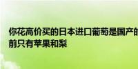 你花高价买的日本进口葡萄是国产的！从日本进口的水果目前只有苹果和梨