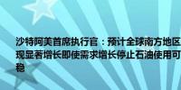 沙特阿美首席执行官：预计全球南方地区的石油需求将在较长时间内实现显著增长即使需求增长停止石油使用可能会在很长一段时间内保持平稳