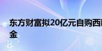 东方财富拟20亿元自购西藏东财旗下权益基金