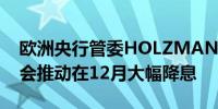 欧洲央行管委HOLZMANN：一些同事可能会推动在12月大幅降息