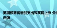 英国预算将增加支出致英镑上涨 分析师预测月底前或进一步走强