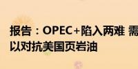 报告：OPEC+陷入两难 需要低价或需求增长以对抗美国页岩油