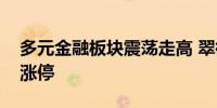 多元金融板块震荡走高 翠微股份、电投产融涨停