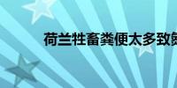 荷兰牲畜粪便太多致氮污染严重