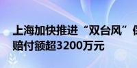 上海加快推进“双台风”保险理赔 最高一起赔付额超3200万元