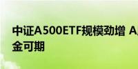 中证A500ETF规模劲增 A股市场后续增量资金可期