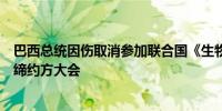 巴西总统因伤取消参加联合国《生物多样性公约》第十六次缔约方大会