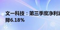 文一科技：第三季度净利润为983.22万元下降6.18%