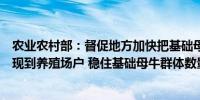 农业农村部：督促地方加快把基础母牛扩群提质项目资金兑现到养殖场户 稳住基础母牛群体数量