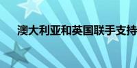 澳大利亚和英国联手支持清洁能源技术