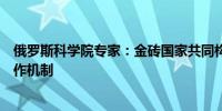 俄罗斯科学院专家：金砖国家共同构建了一个真正平等的合作机制